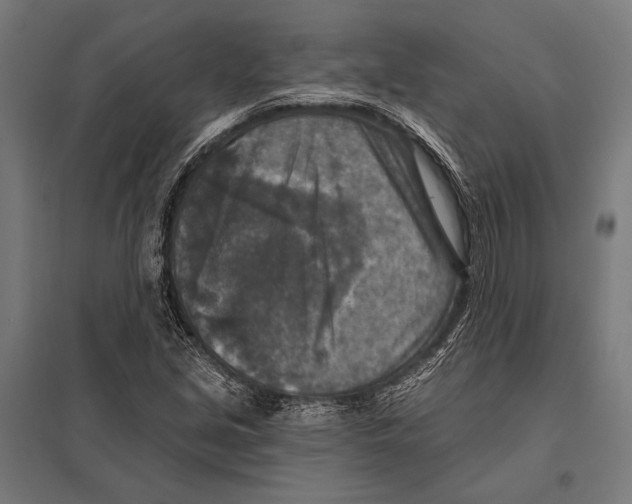 X0000097611213200803281006