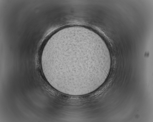 X0000097611215200803281006