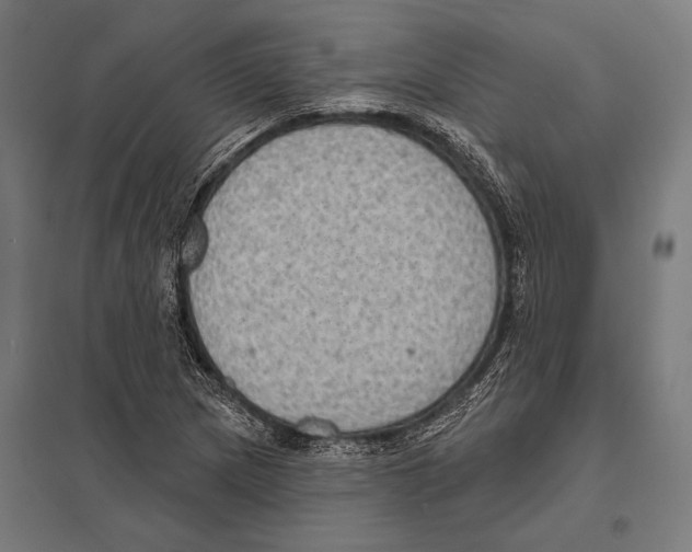 X0000097611217200803281006