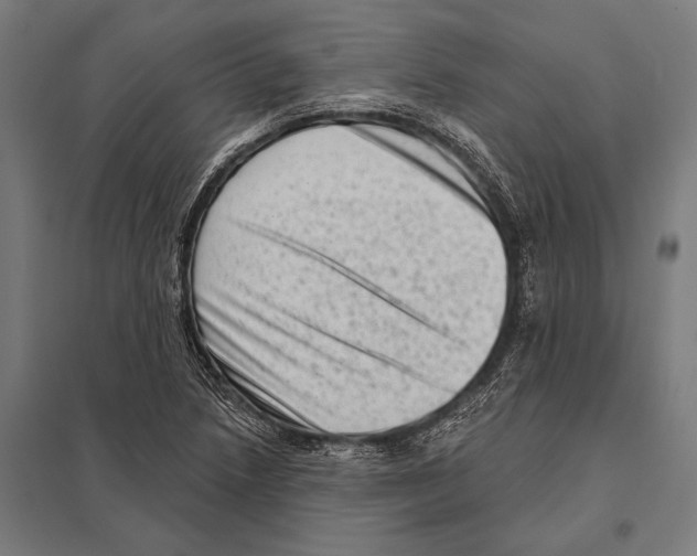 X0000097611218200803281006