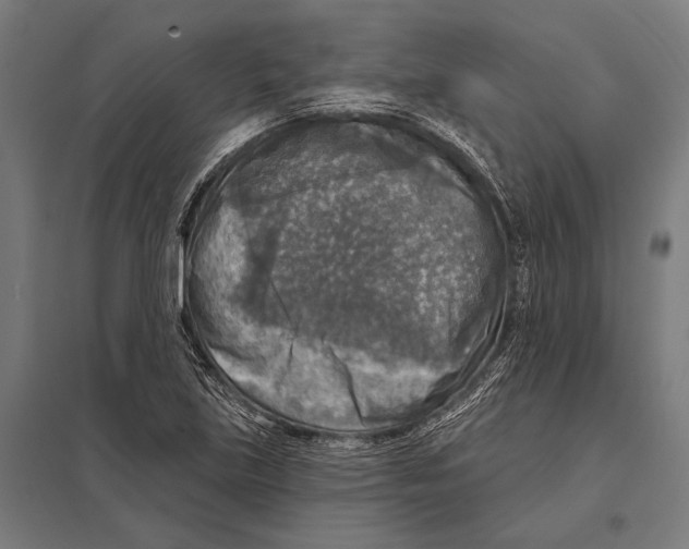 X0000097611219200803281006