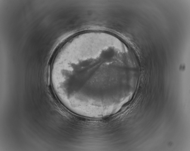 X0000097611223200803281006