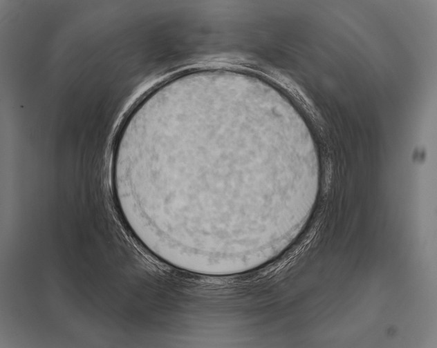 X0000097611224200803281006