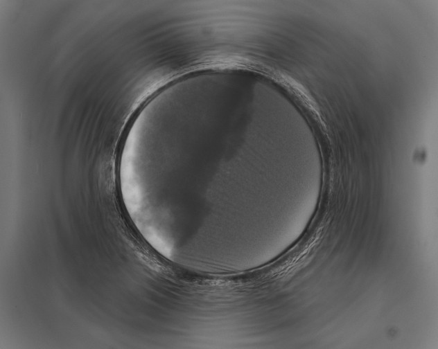 X0000097611226200803281006