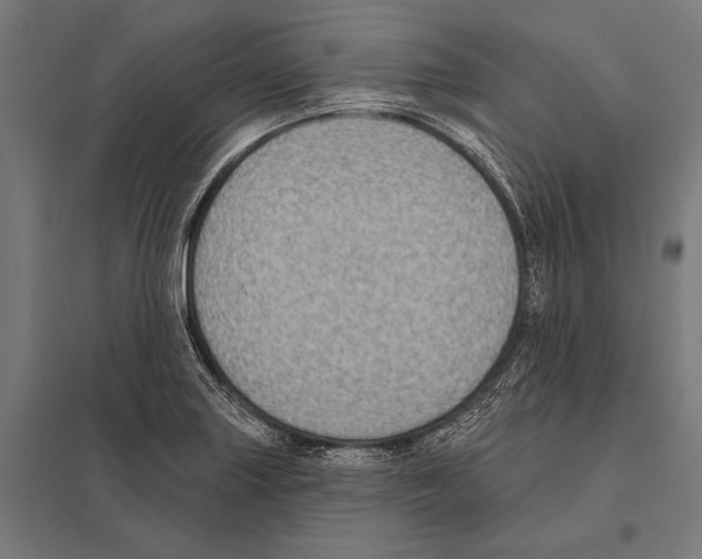 X0000097611227200803281006