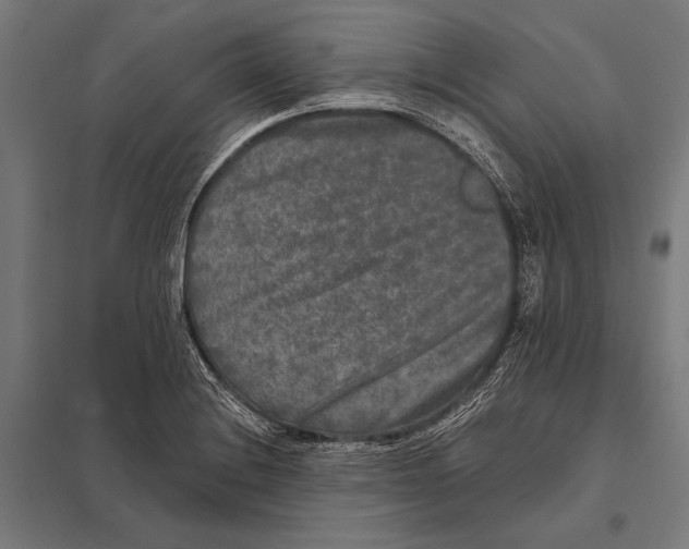 X0000097611228200803281006