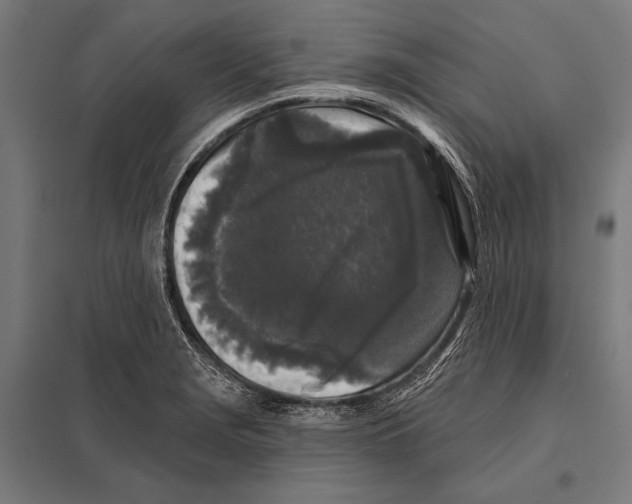 X0000097611229200803281006