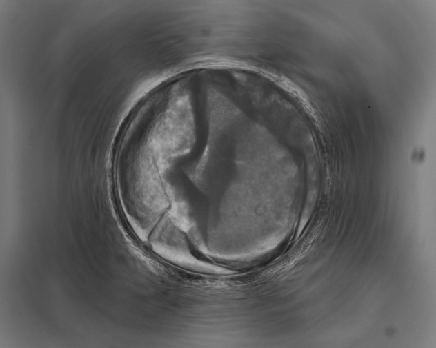 X0000097611231200803281006