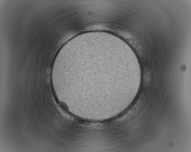 X0000097611233200803281006