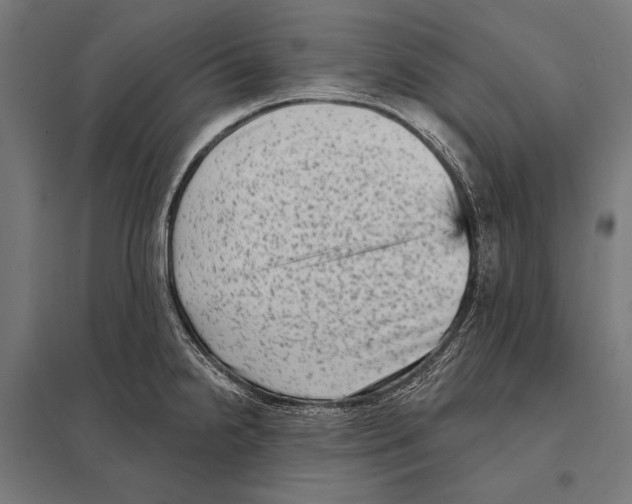 X0000097611238200803281006