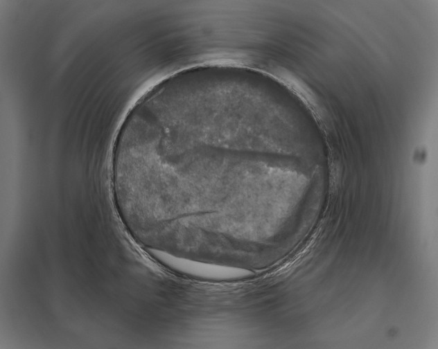 X0000097611240200803281006