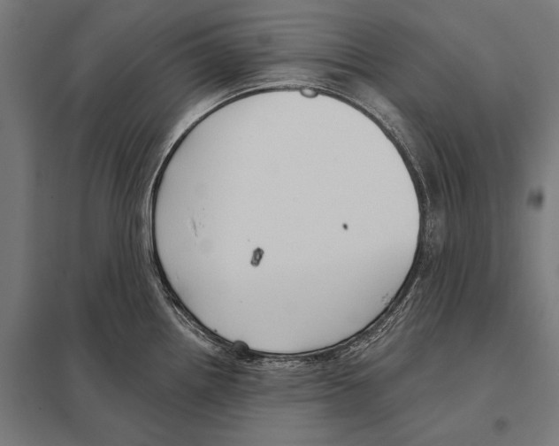 X0000097611242200803281006