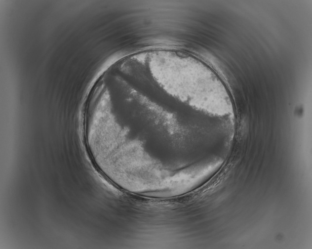 X0000097611243200803281006