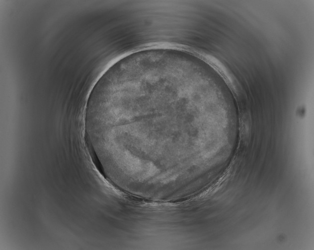 X0000097611244200803281006