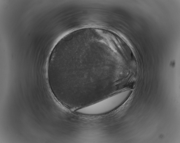 X0000097611246200803281006