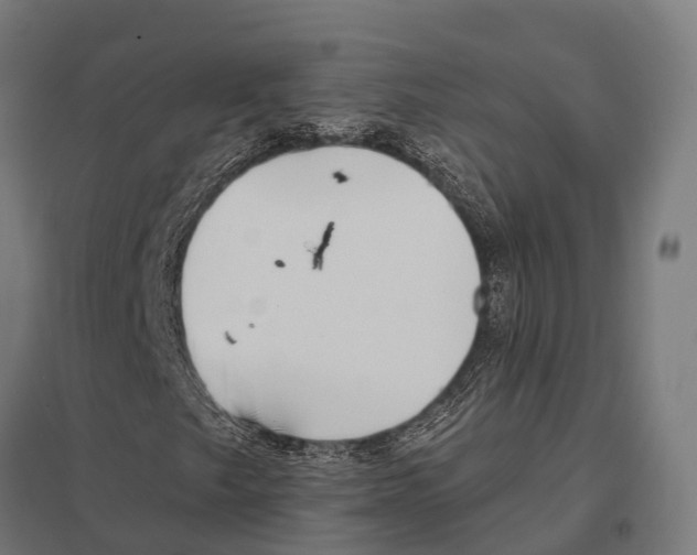 X0000097611249200803281006