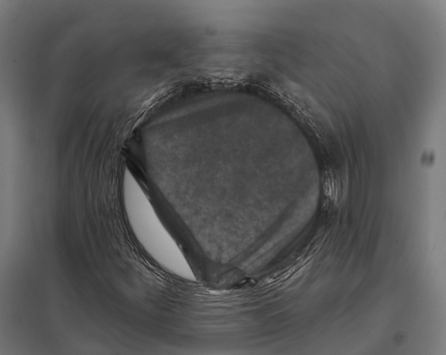 X0000097611252200803281006