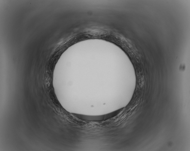 X0000097611253200803281006