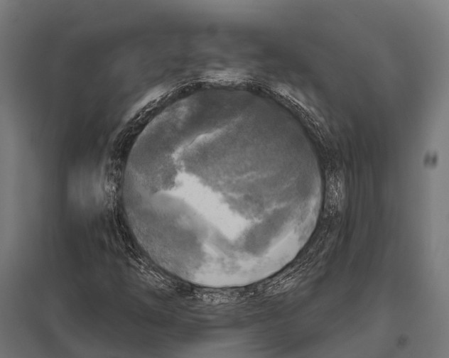 X0000097611254200803281006