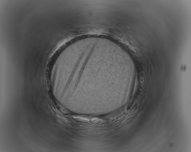 X0000097611256200803281006