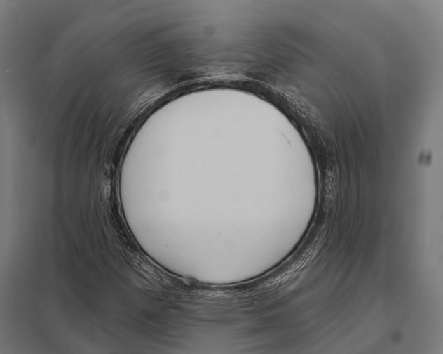 X0000097611257200803281006