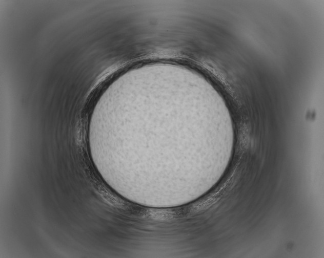 X0000097611258200803281006