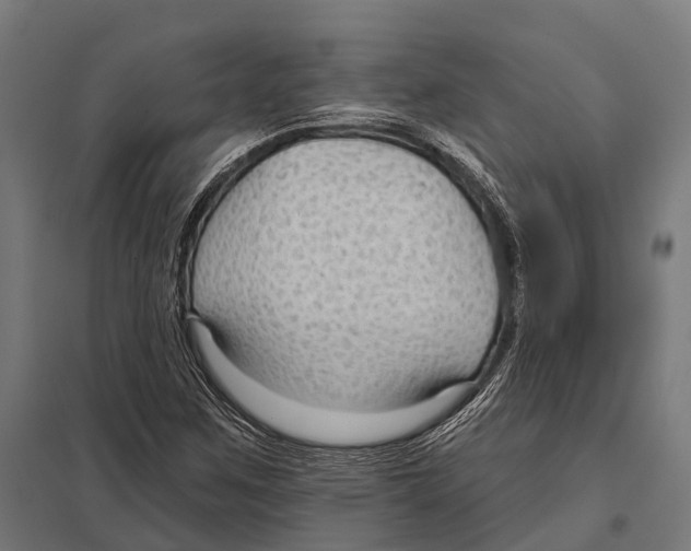 X0000097611259200803281006