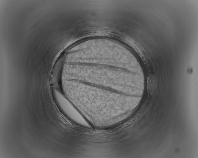 X0000097611260200803281006