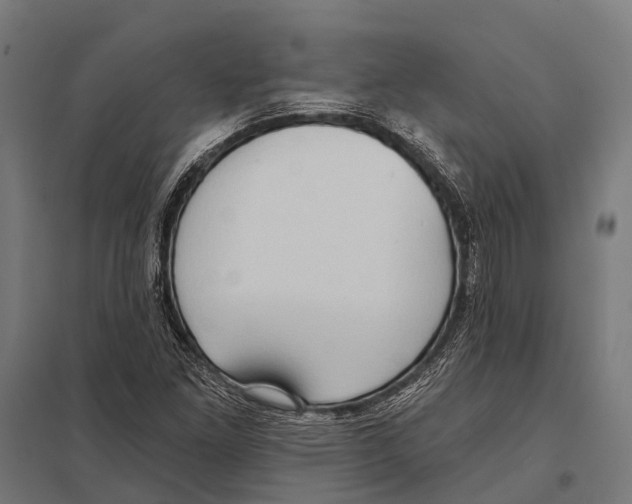 X0000097611261200803281006