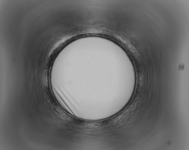 X0000097611262200803281006