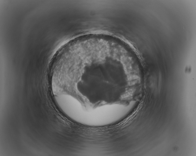 X0000097611263200803281006