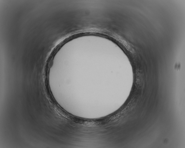 X0000097611264200803281006