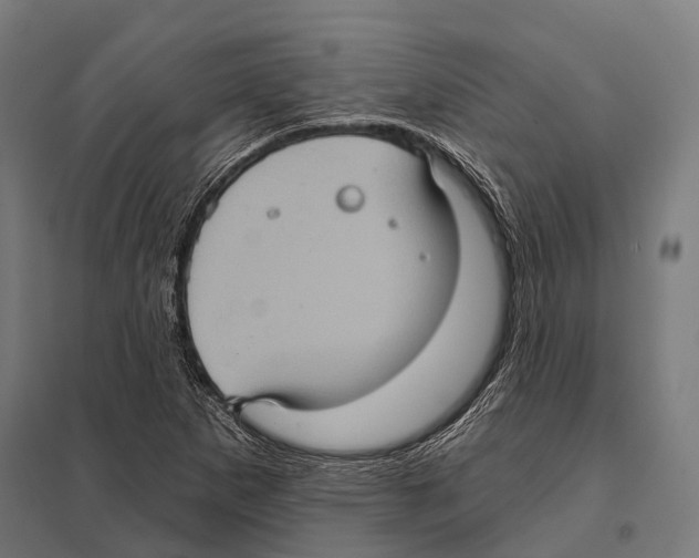 X0000097611265200803281006