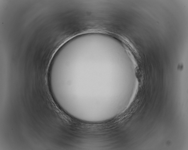 X0000097611268200803281005