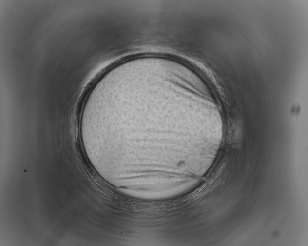 X0000097611271200803281005