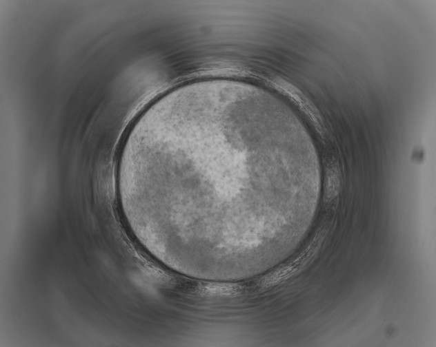 X0000097611274200803281005