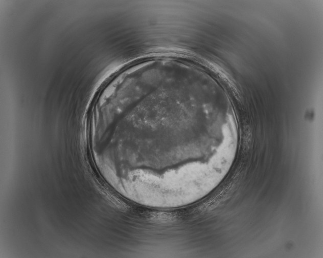 X0000097611275200803281005