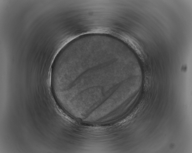 X0000097611276200803281005