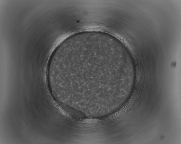 X0000097611277200803281005