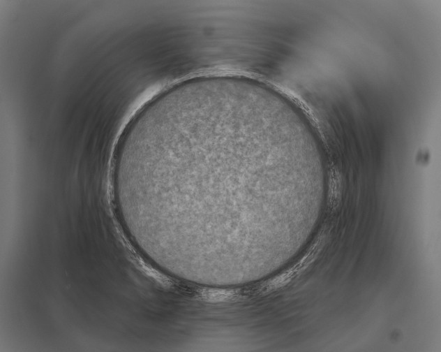 X0000097611278200803281005