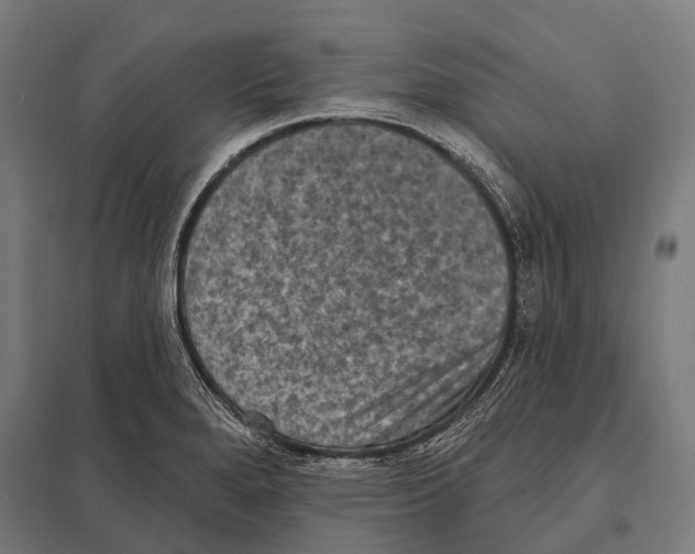 X0000097611280200803281005