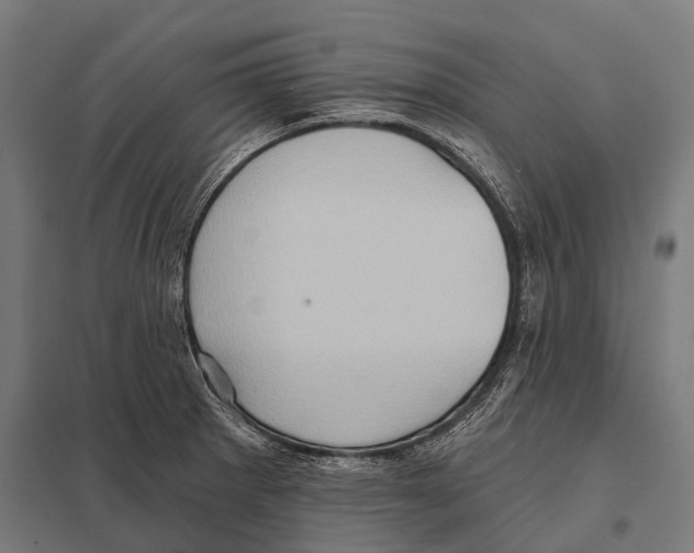 X0000097611281200803281005