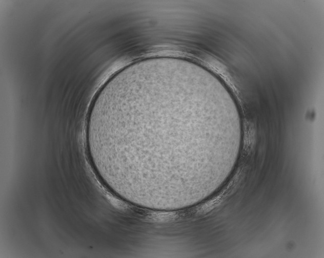 X0000097611282200803281005