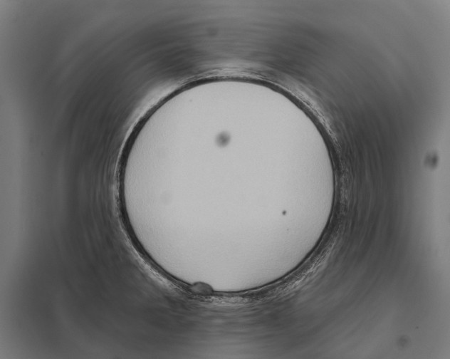 X0000097611285200803281005