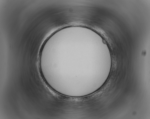 X0000097611286200803281005