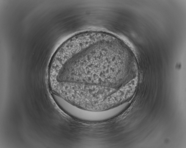 X0000097611287200803281005