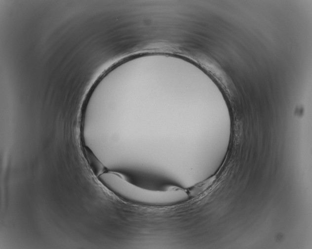 X0000097611288200803281005