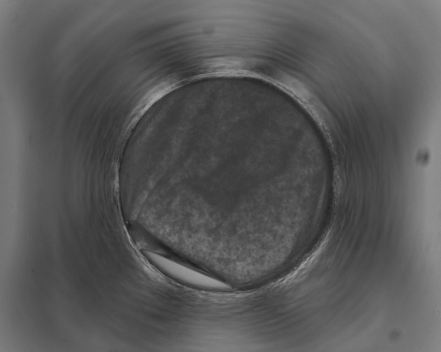 X0000097611289200803281005