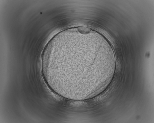 X0000097611290200803281005