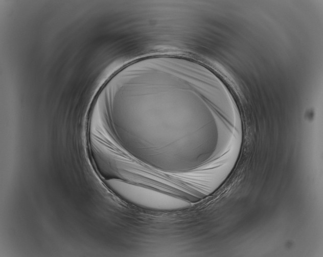 X0000097611291200803281005